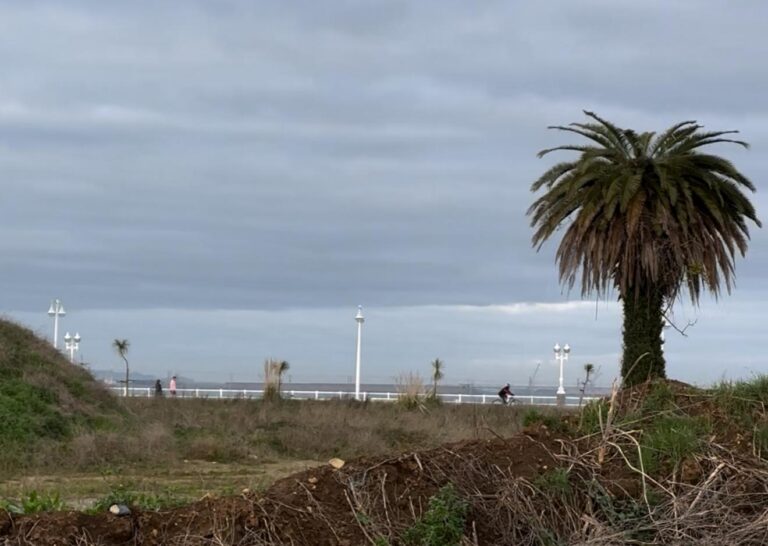 Imagen de WhatsApp 2025-06-18 a las 09.25.29_b736c134