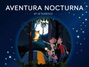 Nocturna BANNER