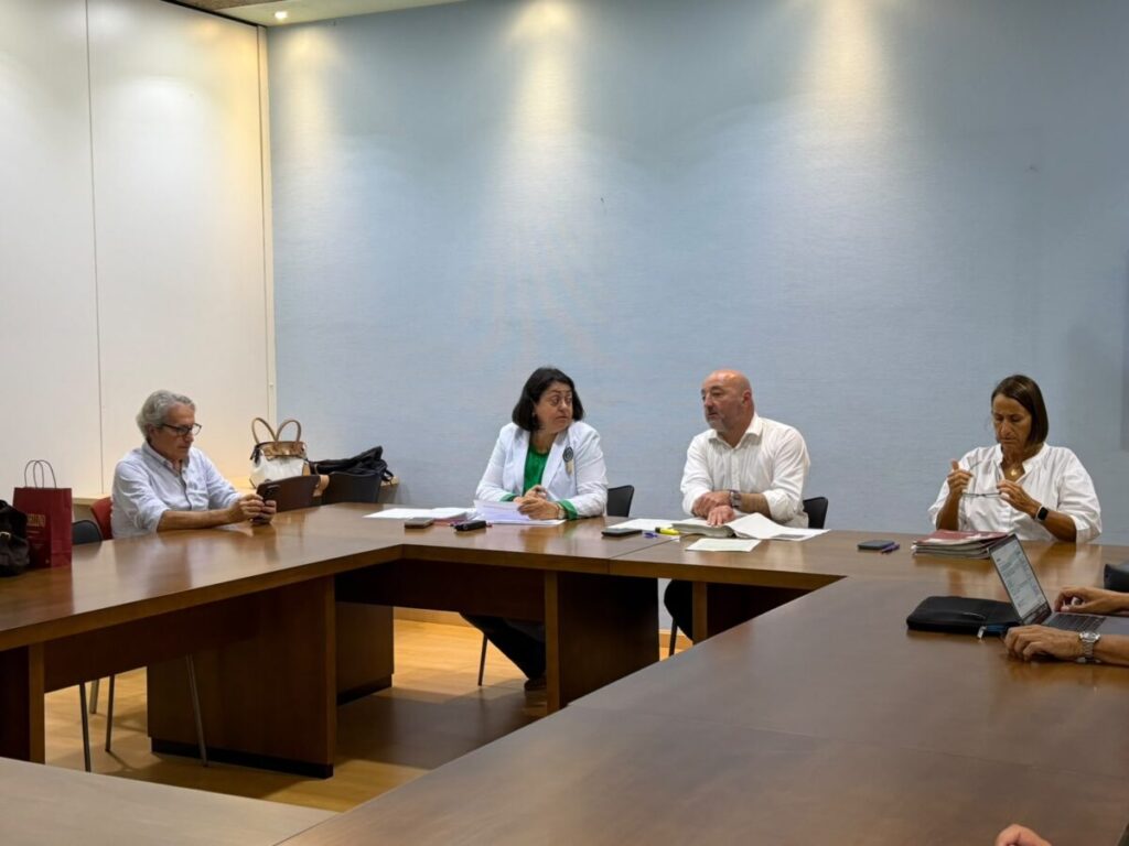 Gijón prorroga el Servicio de Ayuda a Domicilio con más de 12 millones de inversión
